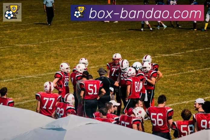 半岛体育app荣誉