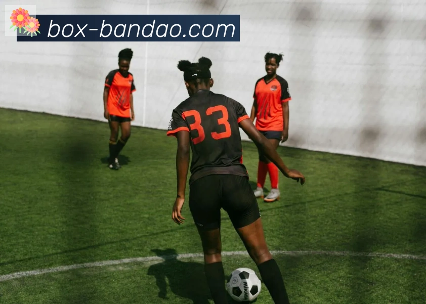 半岛体育app荣誉