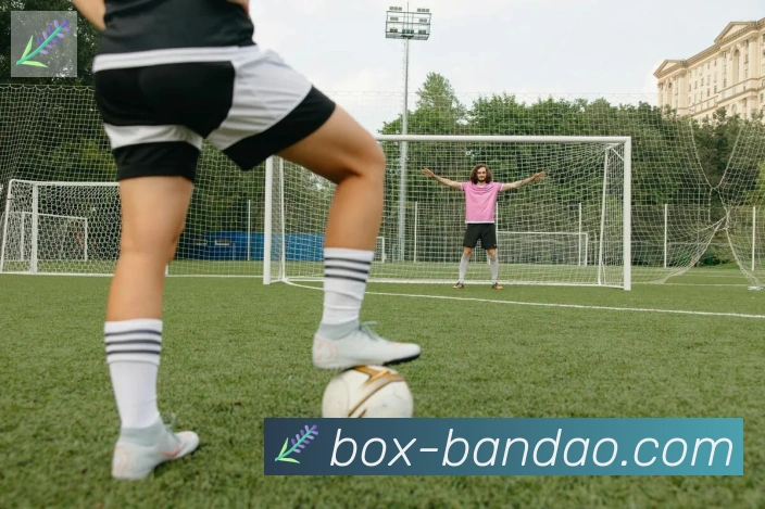 半岛体育app荣誉