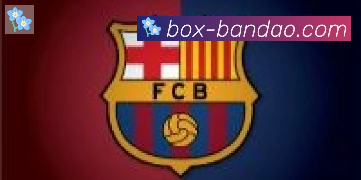 半岛体育app合作伙伴