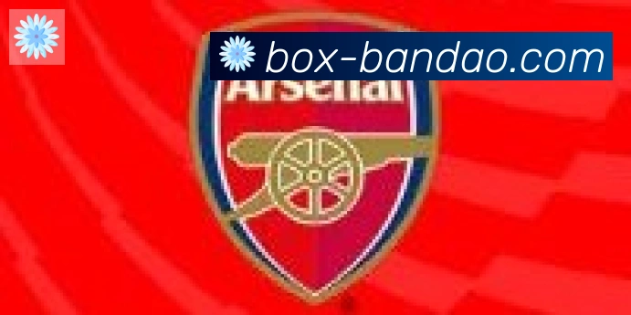 半岛体育app合作伙伴