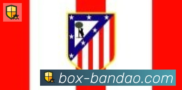 半岛体育app合作伙伴